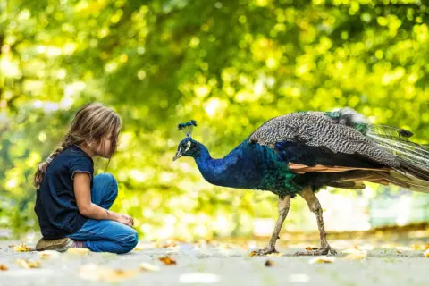 Tierpark Niederfischbach