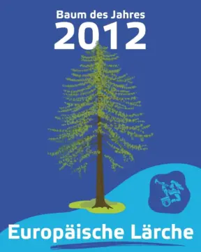 Europäische Lärche: Kater-Baum-Rallye