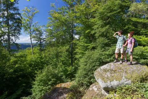 Wackelsteine bei Heilinghausen