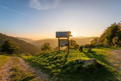 Rheintalblick