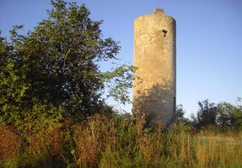 Mäuseturm (Donnersberger Warte)