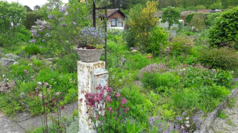 Naturgarten Ursula Stamm Singen
