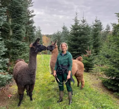 Waldbaden mit Lamas & Alpakas