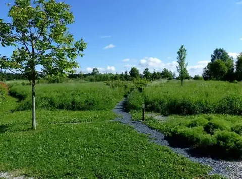 Naturhof Fassmannsreuther Erde