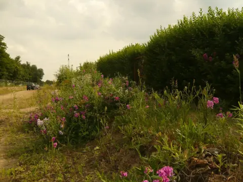 Landschaftspark Herzberge