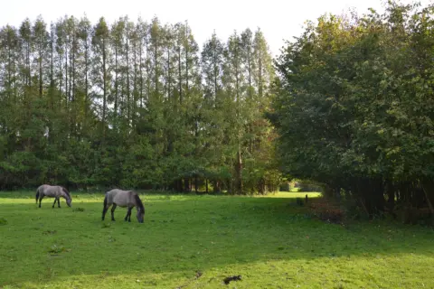 Hessepark
