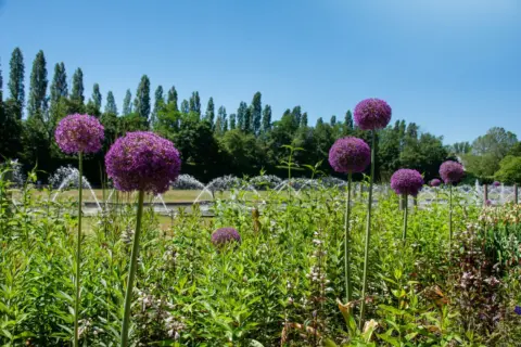 Nordpark