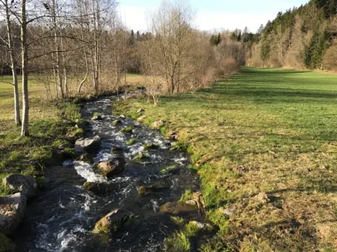 Fischtreppe am Gottratzhofer Stausee
