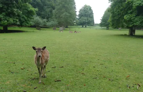 Wildgehege Locherholz