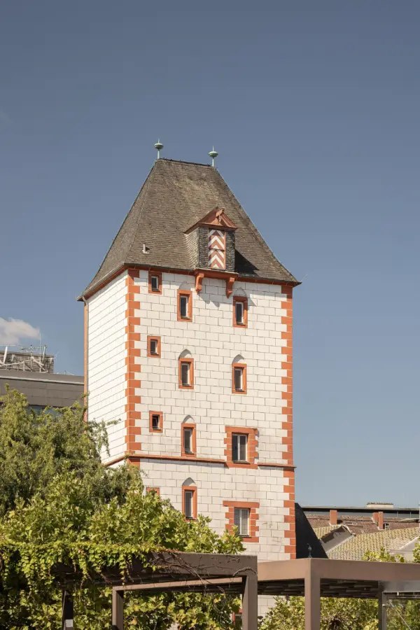 Eisentum