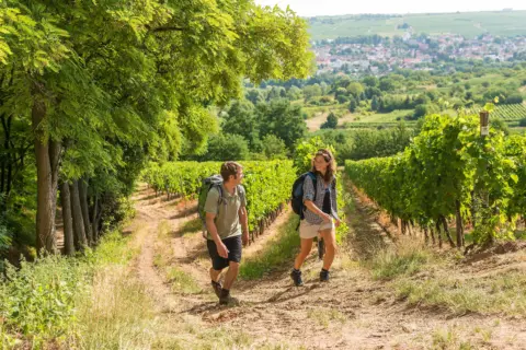 GPS Weinerlebnis-Wanderung