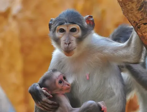 Zoo Landau in der Pfalz