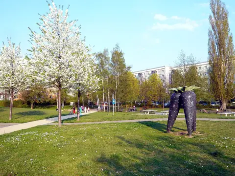 Schwarzwurzelpark