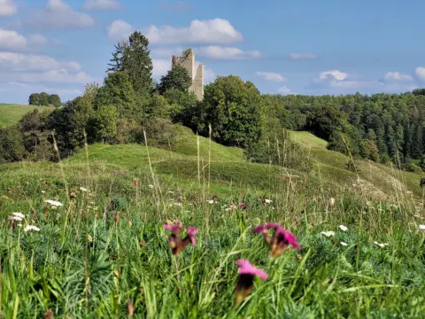 Ruine Bechthal