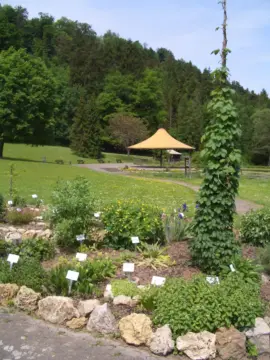 Kurpark Bad Niedernau