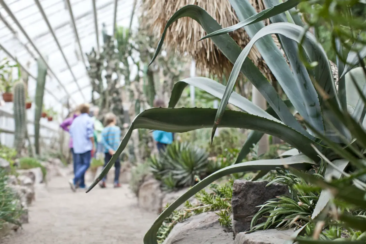 Schauhaus im Botanischen Garten
