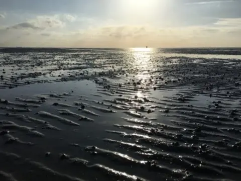 Wattspaziergang
