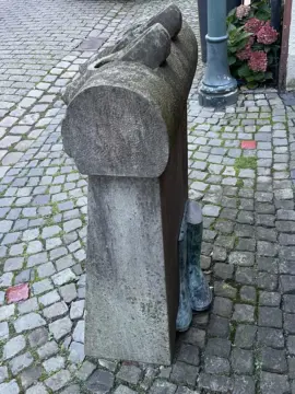 Die Holzschuhe