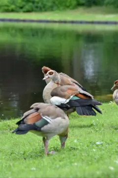 Stadtpark Rheinberg