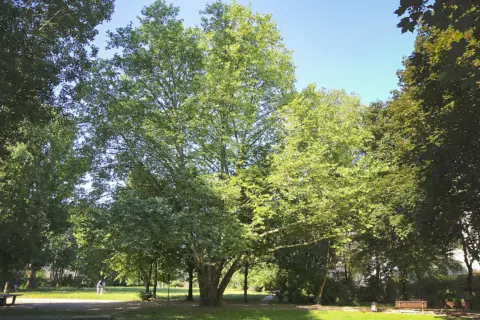 Auerpark