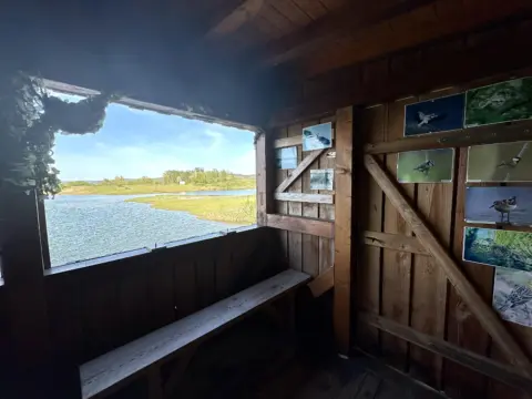 Vogelschutzgebiet NATURA 2000 | Martinsweiher