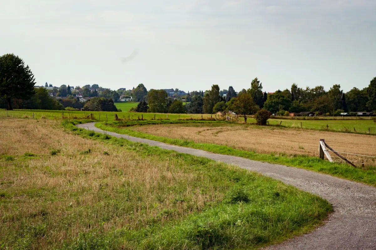 Aussichtspunkt Theegartener Kopf