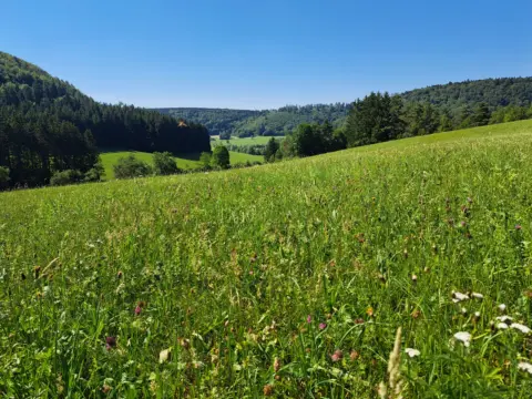 Aussichtspunkt Wünschtal