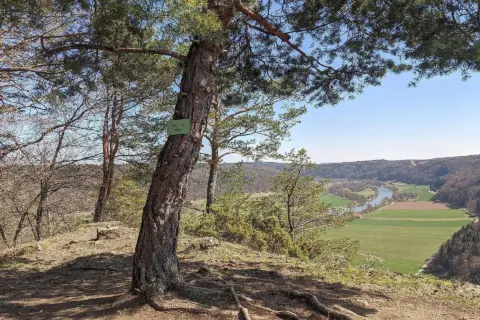 Aussichtspunkt Roßkopf