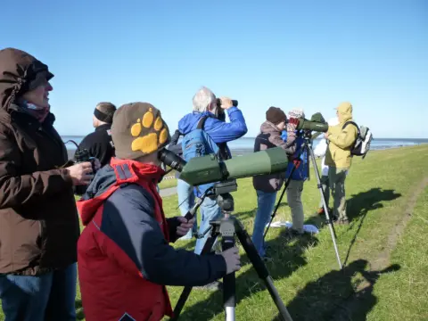 Zugvogeltage: Vogelzug für Einsteiger*innen