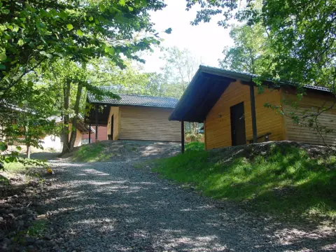 Wald-Jugendcamp Stadtkyll