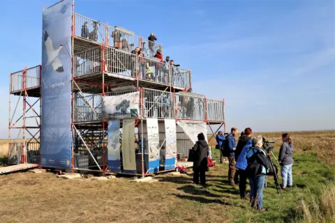 „Der Vogelturm“ am Vareler Watt – Zugvögel aus einer anderen Perspektive