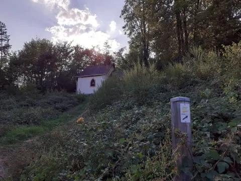 Moselsteig Etappe 19: Cochem-Treis-Karden