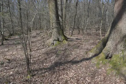 Gerichtsstätte Elmpter Bach