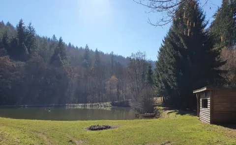 Schönertsee