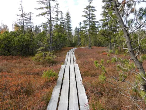 Hochmoor Schluttergasse