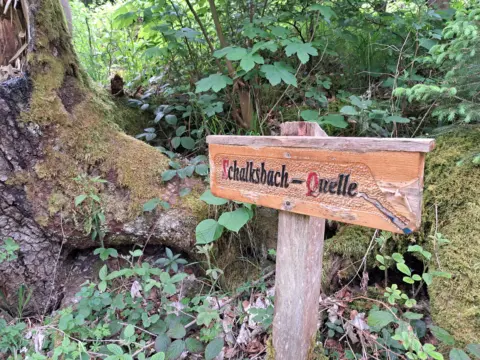 Schalksbach-Quelle