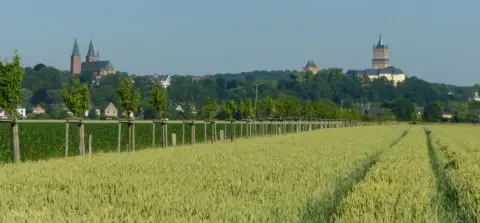 Schwanenburg