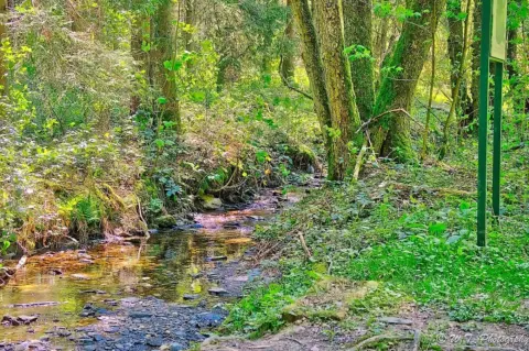 Bachlehrpfad Selbach