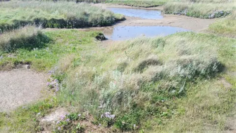 Wind, Wasser und Erde & im Wandel der Gezeiten