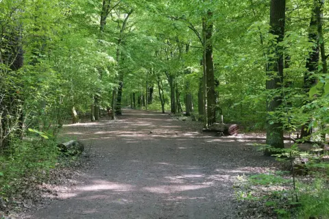 Plänterwald