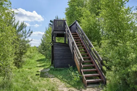 Hagener Königsmoor