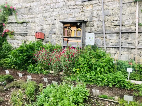 Kräutergarten Inzigkofen